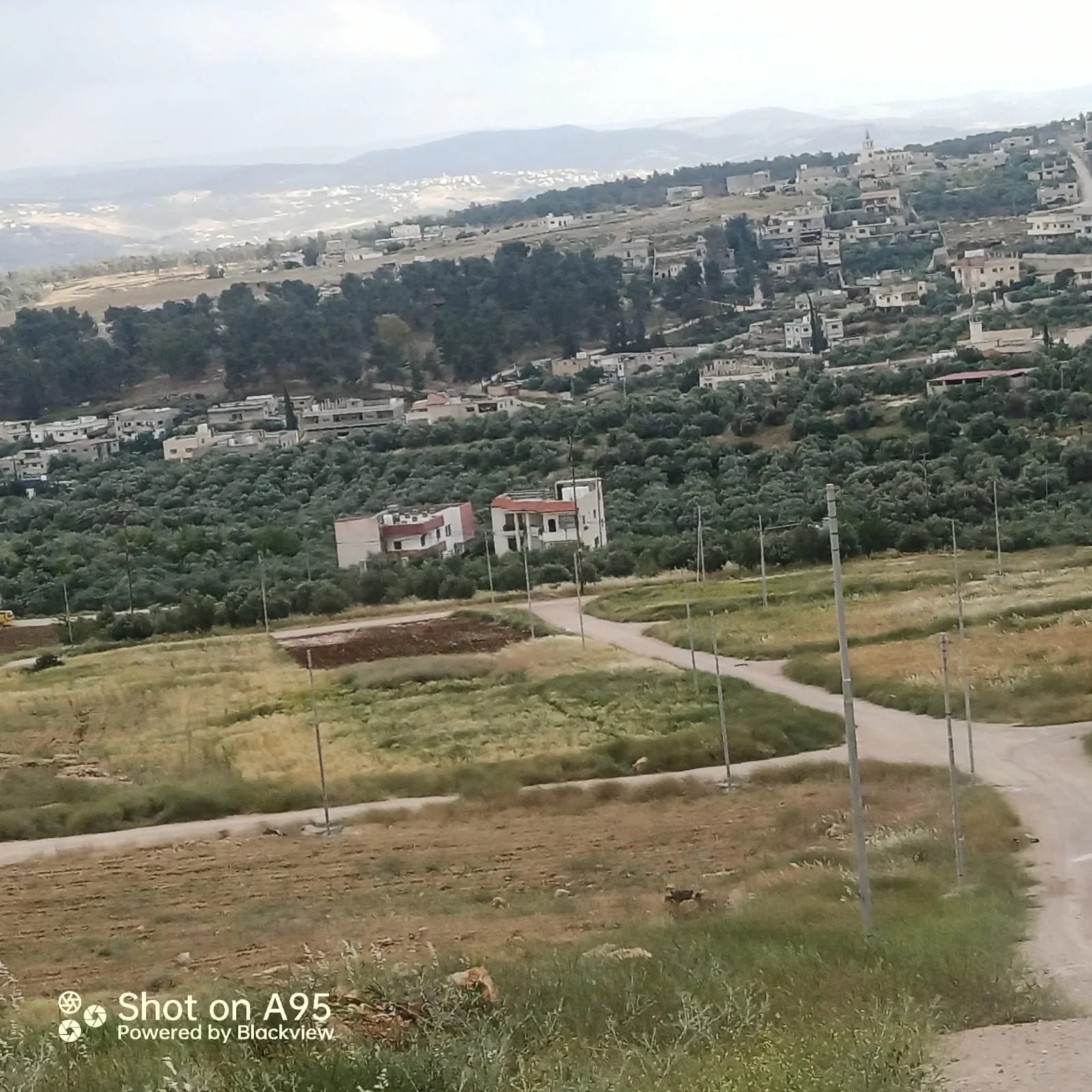 Madaba land project area
